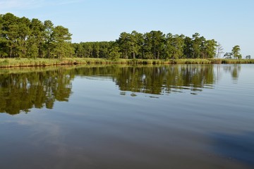 water river reflection