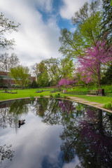 Fototapeta na wymiar Pond at the WJ Beal Botanical Garden, Michigan State University, in East Lansing, Michigan