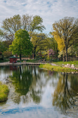 Fototapeta na wymiar The South Pond at Lincoln Park, in Chicago, Illinois