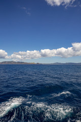 タスマン海