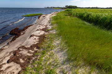 Fototapeta na wymiar Currituck Sound Shoreline along Hatteras Island in the Outer Banks of Avon, North Carolina