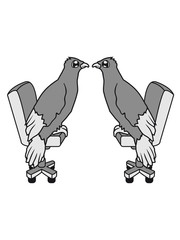 meeting 2 freunde paar stuhl computer arbeit büro job süß niedlich comic cartoon gesicht rabe sitzend adler falke taube vogel fliegen clipart