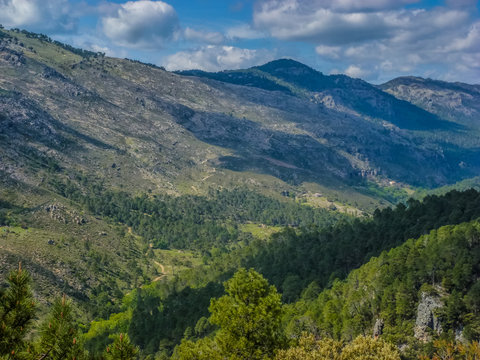 Rio Borosa en Parque Natural de Cazorla en Jaen, Andalucia, España