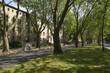 Obraz premium ドイツ・ベルリンのモダニズム集合住宅群：グロースジードルング・ブリッツ