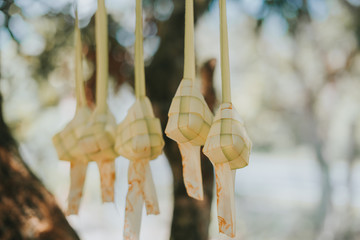 Ketupat (rice dumpling) with green nature bokeh background.