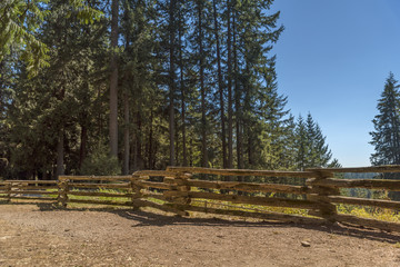 wooden fence of bars, along a country road near a dense forest