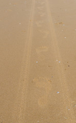 Sand texture near the beach with footprint.