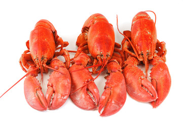 cooked red lobster isolated on white background