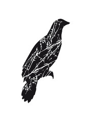 kratzer risse sitzend silhouette schwarz umriss schatten adler falke taube vogel fliegen clipart