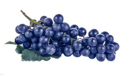 Blue wet Isabella grapes bunch isolated on white background as package design element