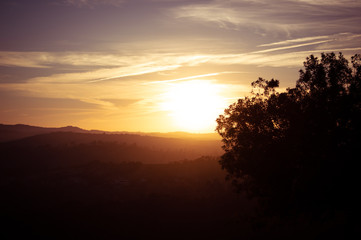 Fototapeta na wymiar tree, hill, prayer, sunrise, sunset