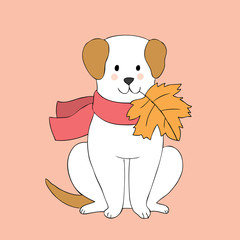 Cartoon cute Autumn dog and leaves vector.
