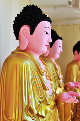 Buddha statue in a row in Buddhist temple	