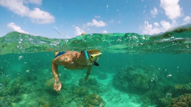 Young Male Snorkels Great Barrier Reef Slow Motion 120fps