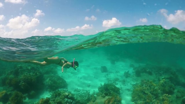 Young Bikini Girl Snorkelling Underwater Great Barrier Reef Slow Motion 120fps 