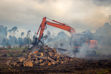 A digger cleans up after trees have been logged, scraping the waste together to be burnt in a fire causing the air to be all smoky