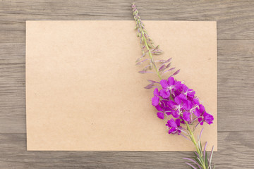 Blooming sally purple flowers with craft paper blank on old grunge wooden background. Top view. Minimalistic mockup.