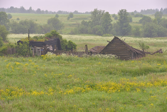 rural landscape - old house