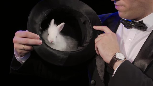 Magician shows a rabbit sitting in a hat