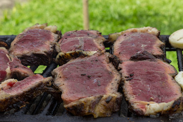 grilled meat on the barbecue