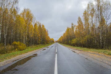 Autumn asphalt road line passing through the forest
