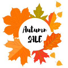 Set of autumn yellow leaves and circular emblem with text autumn sale