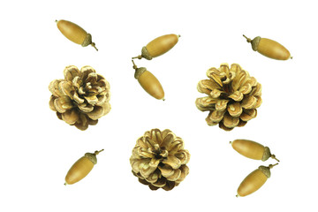 ドングリと松ぼっくり