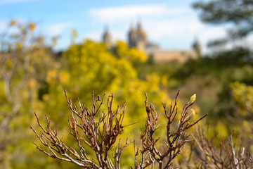 Monasterio de San Lorenzo del Escorial, Madrid