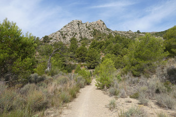 Trails of the desert of the palms in Castellon