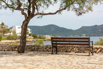 A bench and a single tree on the promenade in the holiday resort Cala Millor with a beautiful view...