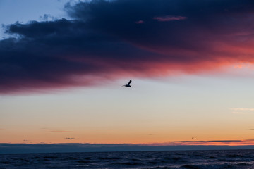 Fototapeta na wymiar Sunset over the sea.