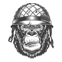 Serious gorilla in monochrome style © DGIM studio