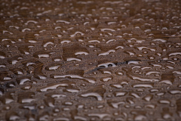 Texture of a tree with lots of a drop of water close-up