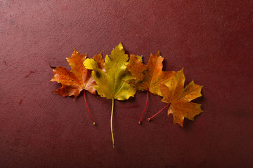 Yellow leaves autumn background