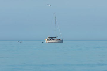 Segelboot auf dem meer