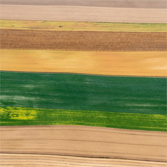 Obraz premium vue aérienne de champs à Saint-Amand-sur-Fion dans la Marne en France