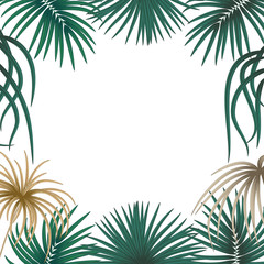 Fototapeta na wymiar Vector tropical jungle background with palm trees leaves