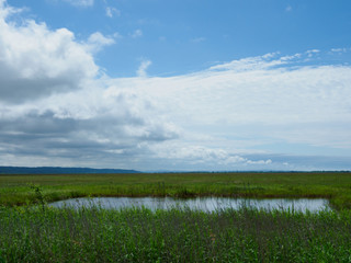 北海道のサロベツ湿原