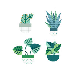 Cactus and succulent set with nice pots in flat style. Editable elements, icons for Home garden, Landscape