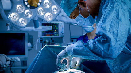 In the Hospital Operating Room Diverse Team of Professional Surgeons and Nurses Suture Wound after Successful Surgery.