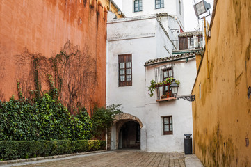 Fototapeta na wymiar Small square in Santa Cruz with the walls painted in vivid colors (Seville, Spain)