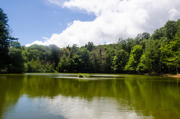 Lago Foresta Umbra 