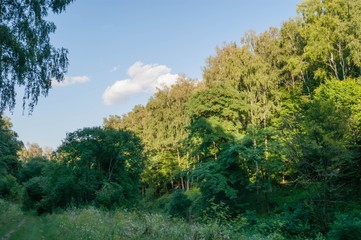  Arboretum in Ternopil