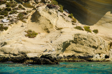 Naklejka premium Isole Tremiti