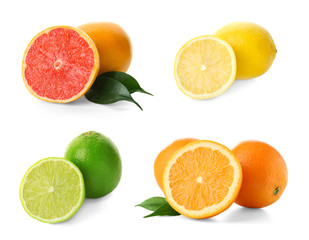 Fototapeta premium Set with different citrus fruits on white background
