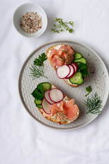 Sandwiches with smoked pink salmon, radish, cucumber and cream cheese on gray ceramic plate and textile background. Traditional Scandinavian toast. Top view.