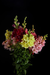 close-up view of bouquet of beautiful flowers with buds isolated on black background