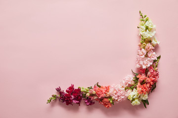 beautiful tender pink, white and red flowers on pink background