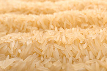 Raw brown rice as background