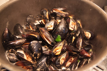 Mussels in shells in Italian cuisine